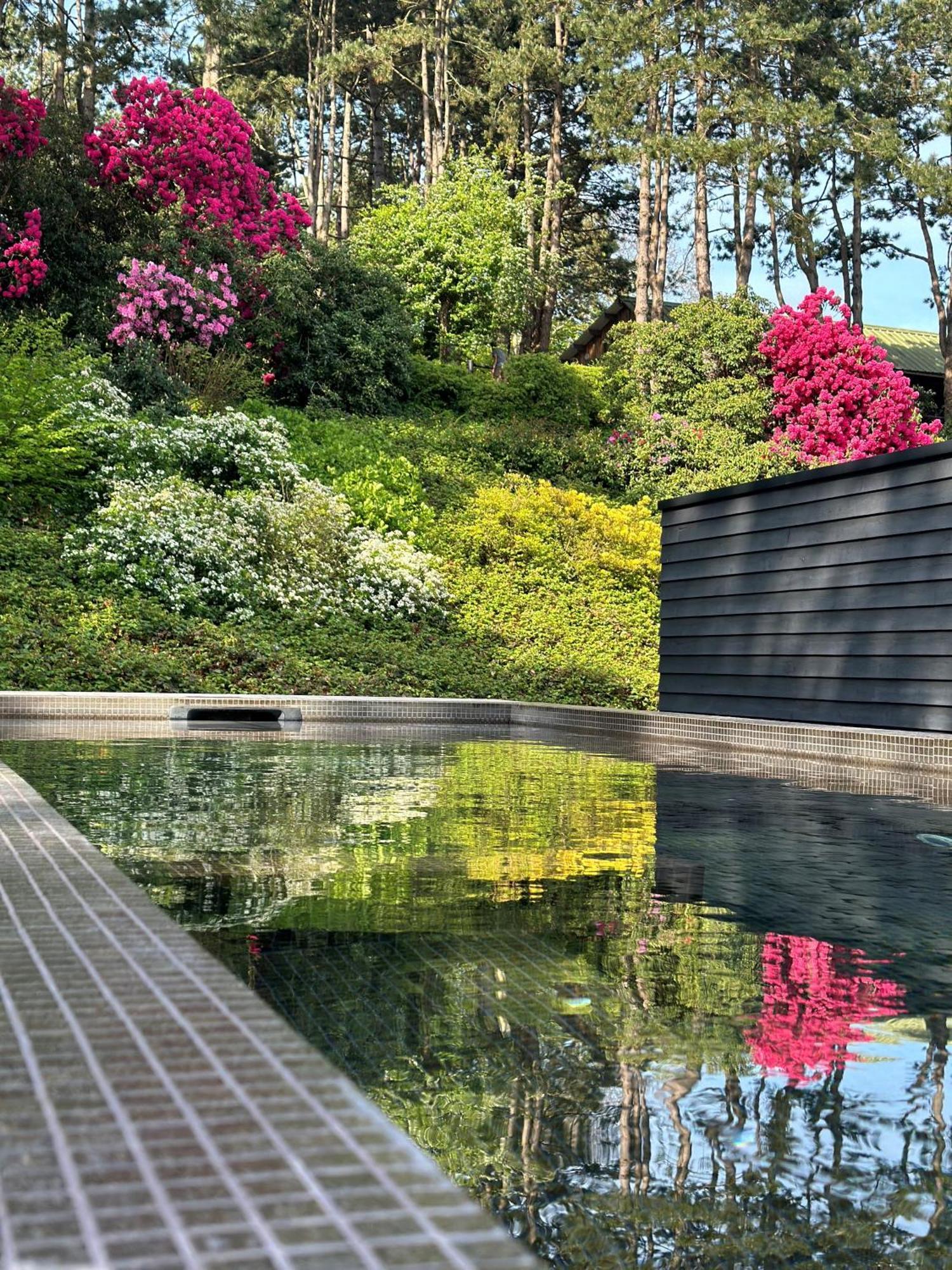 Les Pins De Cesar - La Campagne D'Etretat Hotel Saint-Jouin-Bruneval Exterior photo